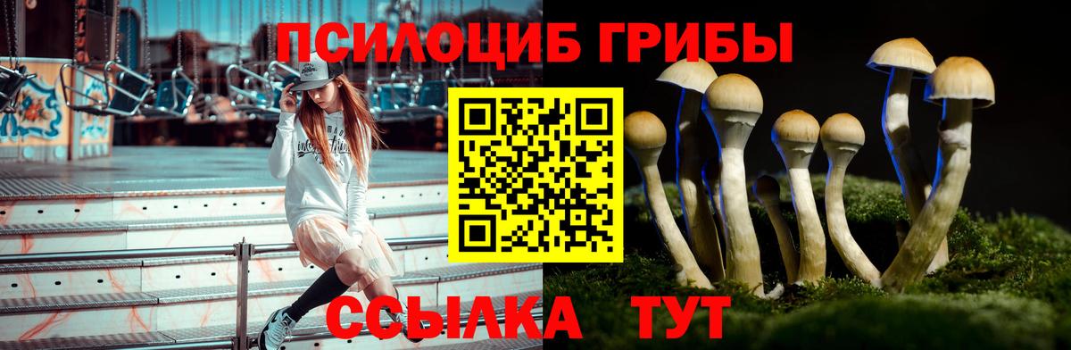 Псилоцибиновые грибы прущие грибы  Вход с VPN  Псилоцибиновые грибы MAGIC MUSHROOMS  Красноярск 