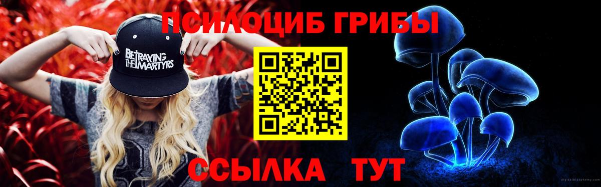 Псилоцибиновые грибы Cubensis Красноярск